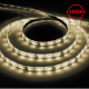 Cветодиодная LED лента LS603, 60SMD(2835)/м 4.8Вт/м 5м IP20 12V 3000К