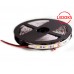 Cветодиодная лента LEDOKS PS-5050-300W-IP33