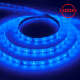 Cветодиодная LED лента LS604, 60SMD(2835)/м 4.8Вт/м 5м IP65 12V синий