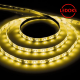Cветодиодная LED лента LS603, 60SMD(2835)/м 4.8Вт/м 5м IP20 12V желтый