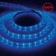 Cветодиодная LED лента LS603, 60SMD(2835)/м 4.8Вт/м 5м IP20 12V синий